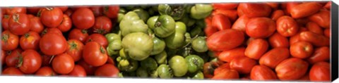 Framed Close-up of Assorted Tomatoes Print