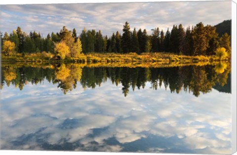 Framed Reflection of Clouds on Water, Grand Teton National Park, Wyoming Print