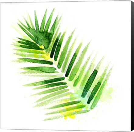 Framed Tropical Icons Palm Frond Print