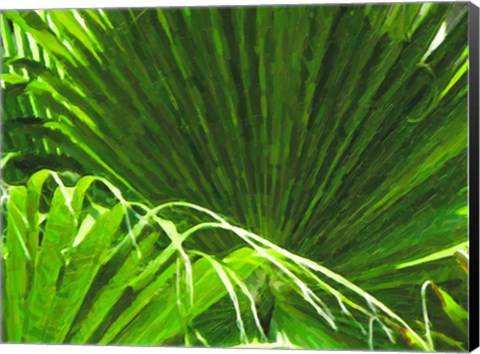 Framed Painted Ferns II Print