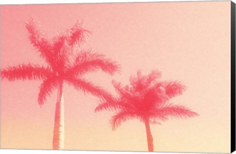 Framed Palm Trees in Pink Print