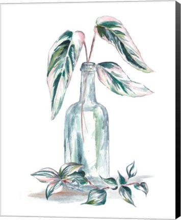 Framed Island Tropics Frond in Bottle III Print