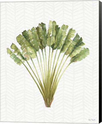 Framed Mixed Greens X Print