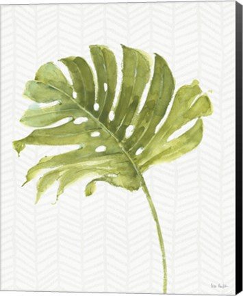 Framed Mixed Greens LXXVII Print