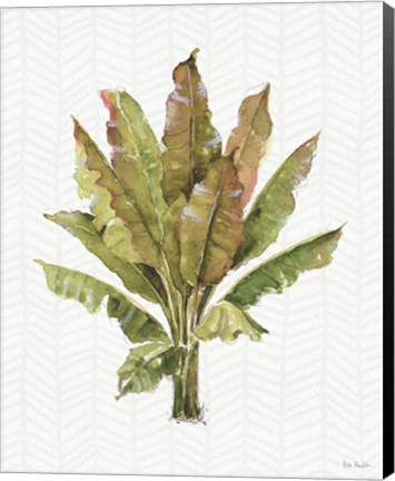 Framed Mixed Greens IX Print