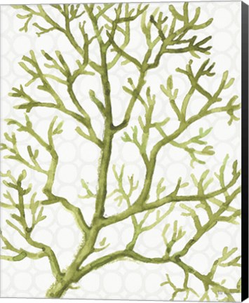 Framed Mixed Greens XXV Print