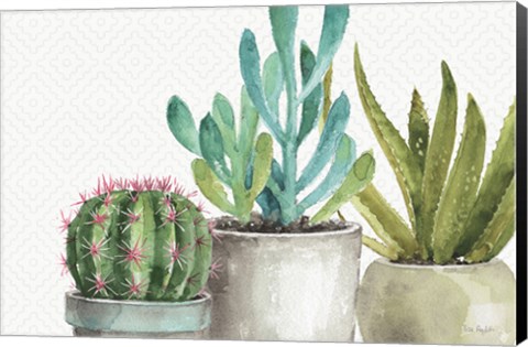 Framed Mixed Greens XXXIV Print