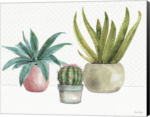 Framed Mixed Greens XLV Print