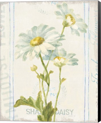 Framed Floursack Florals III Print
