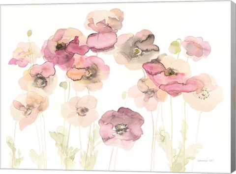 Framed Delicate Poppies Print