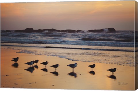 Framed Kalaloch Birds IV Print