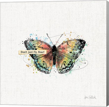 Framed Thoughtful Butterflies I Print