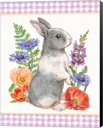 Framed Sunny Bunny IV Checker Border Print