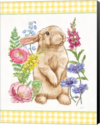 Framed Sunny Bunny III Checker Border Print