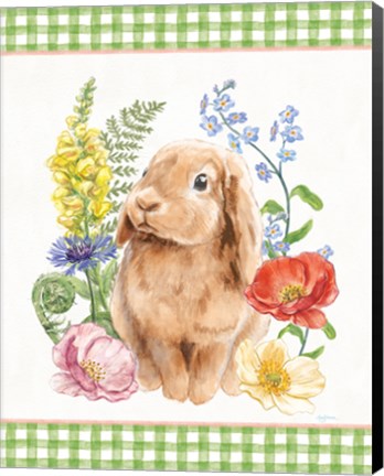 Framed Sunny Bunny I Checker Border Print