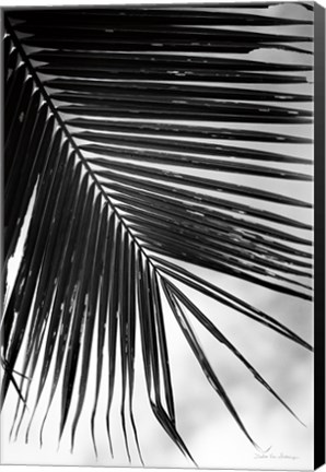 Framed Palm Frond II Print