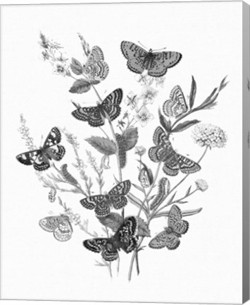 Framed Butterfly Bouquet I Linen BW I Print