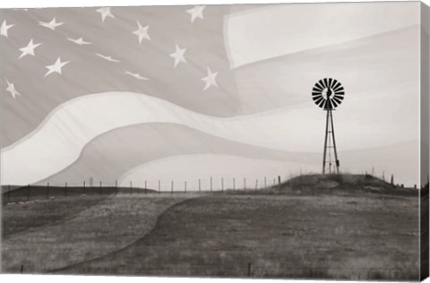 Framed Patriotic Windmill Print