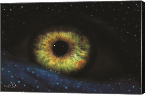 Framed Eye Print