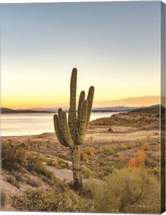 Framed Desert Cactus Sunset Print