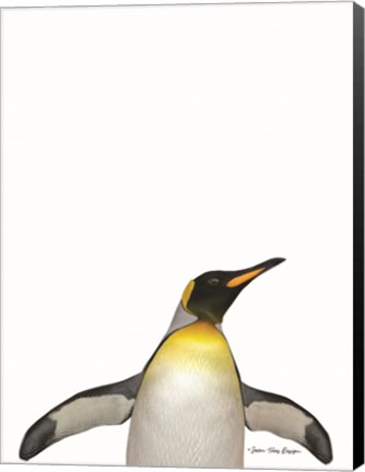 Framed Emperor Penguin Print