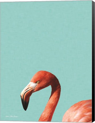 Framed Blue Flamingo Print
