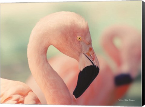 Framed Pink Flamingo Print