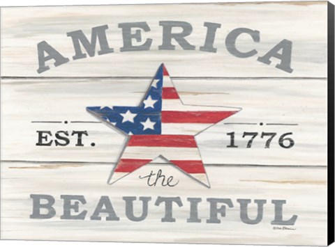 Framed America the Beautiful Star Print