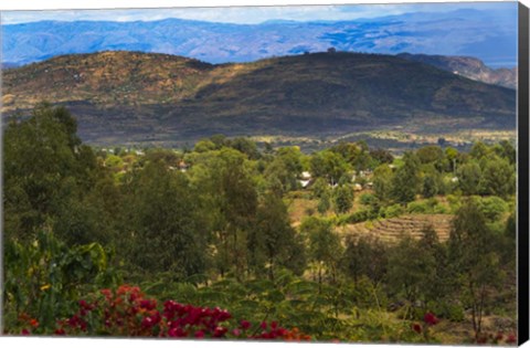 Framed Red flowers and Farmland in the Mountain, Konso, Ethiopia Print