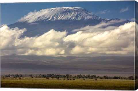 Framed Amboseli National Park, Kenya Print