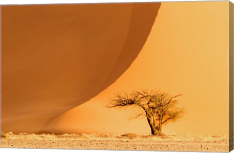 Framed Namib-Naukluft National Park, Namibia Print