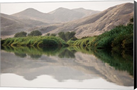 Framed Greenery Along the Banks of the Kunene River, Namibia Print