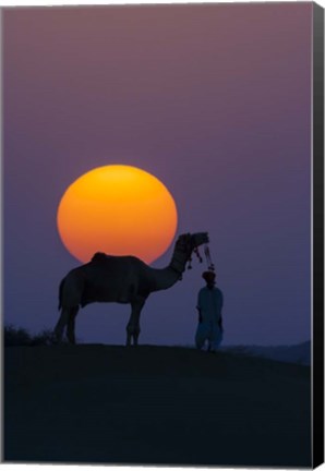 Framed Camel and Person at Sunset, Thar Desert, Rajasthan, India Print