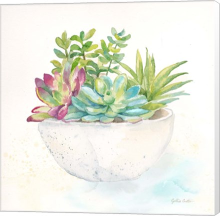 Framed Sweet Succulent Pots II Print