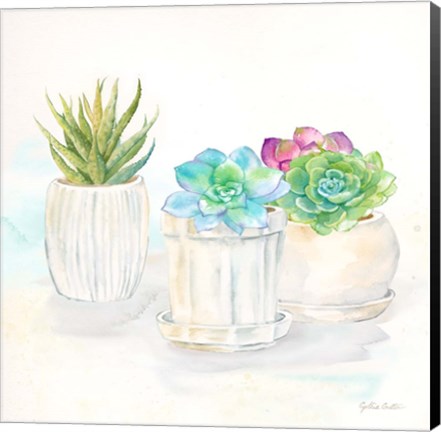 Framed Sweet Succulent Pots IV Print