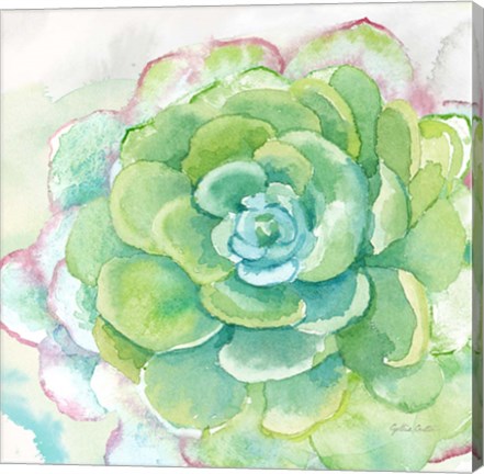 Framed Sweet Succulents IV Print