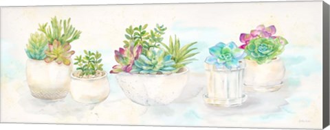 Framed Sweet Succulents Panel Print