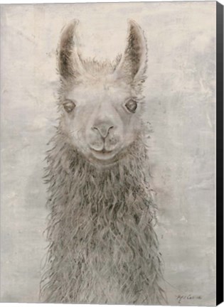 Framed Llama Portrait Print