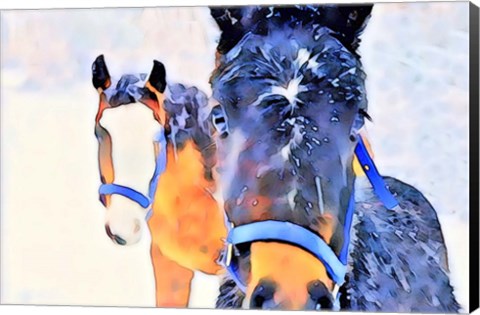 Framed Snow Horses Print