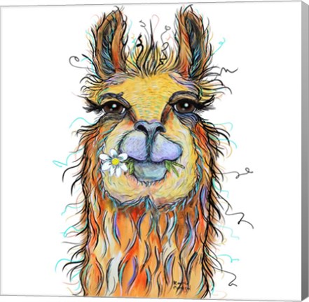 Framed Llama with Daisy Print