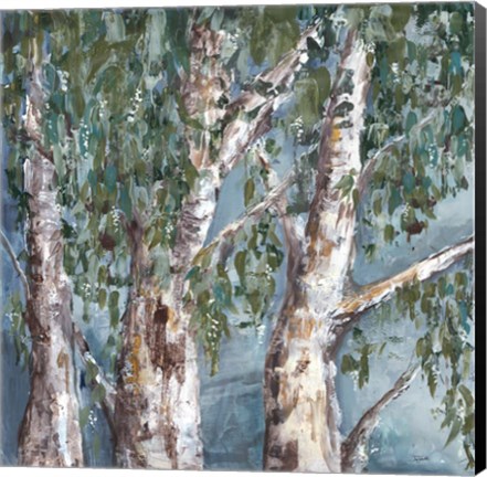 Framed Eucalyptus Trees Print