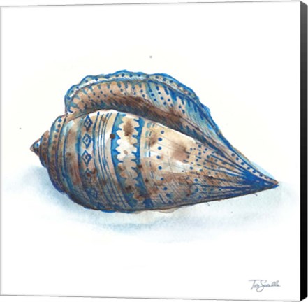 Framed Bohemian Shells II Print