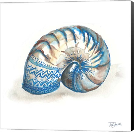 Framed Bohemian Shells IV Print