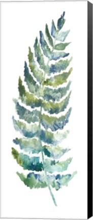 Framed Botanical Fern Single III Print