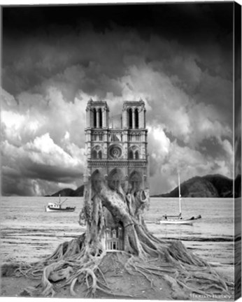 Framed Stumped Print