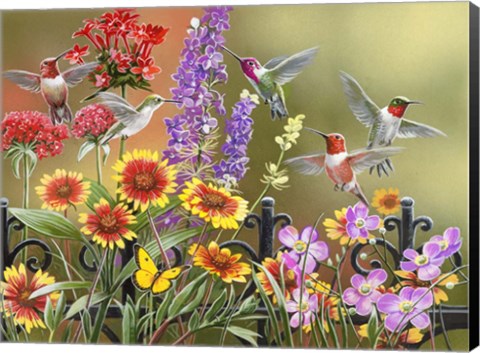 Framed Hummingbirds - Fall Print