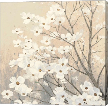 Framed Dogwood Blossoms II Neutral Print