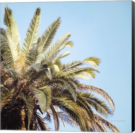 Framed Endless Summer VI Print