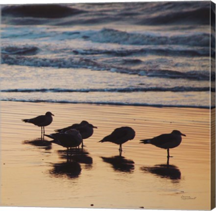 Framed Kalaloch Birds II Print