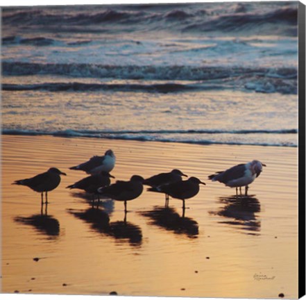 Framed Kalaloch Birds I Print